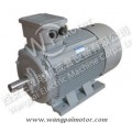 Y2 Series Cast Iron Three Phase Asynchronous Induction Motor