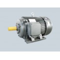 Y Series Cast Iron Three Phase Asynchronous Induction Motor